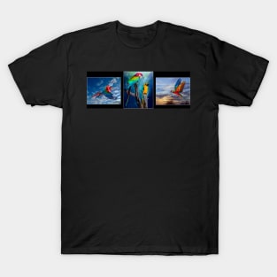 The Beauty of Macaws T-Shirt